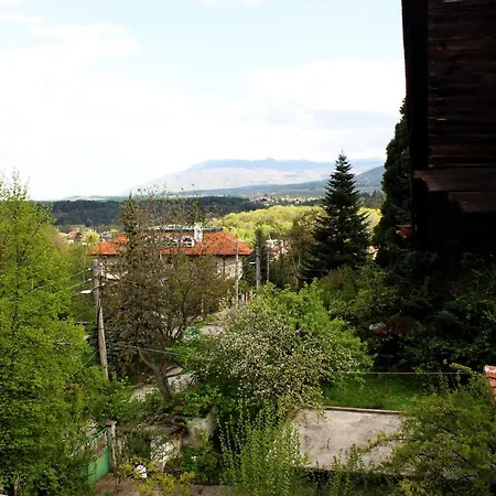 - Sofia 3*