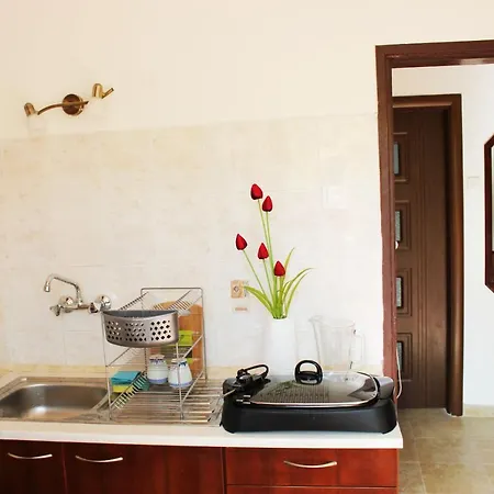 Guest house - Sofia Bankya